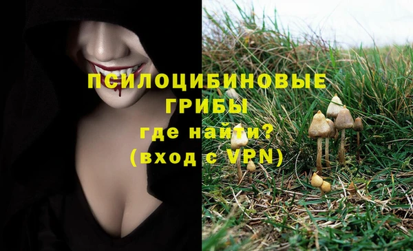 прущие грибы Богданович