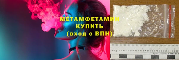 прущие грибы Богданович