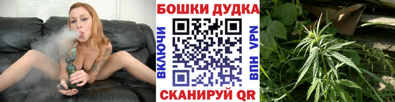 Купить закладки  Ефремов  МАРИХУАНА White Widow 